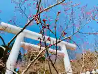 土津神社|こどもと出世の神さまの鳥居