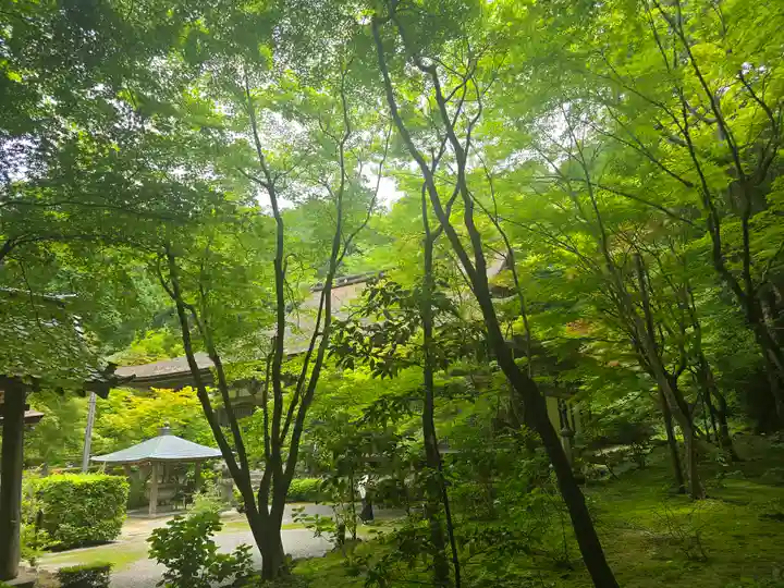 金剛輪寺(滋賀県)