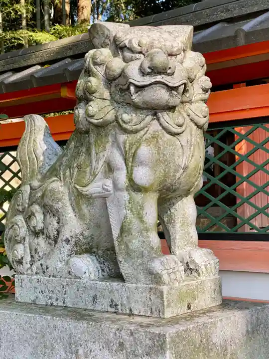 隨心院(随心院)の狛犬