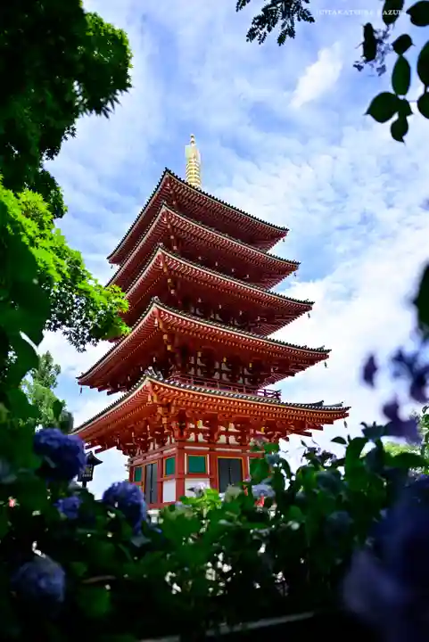 高幡不動尊 金剛寺の塔