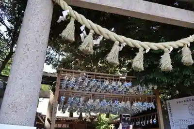川越氷川神社(埼玉県)