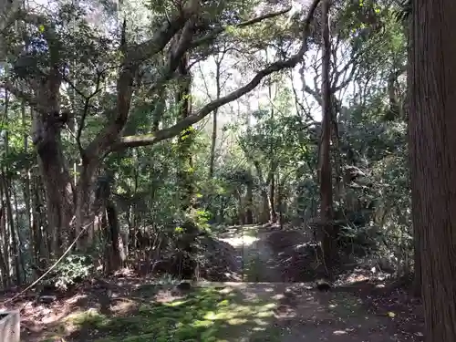 大宮神社の自然