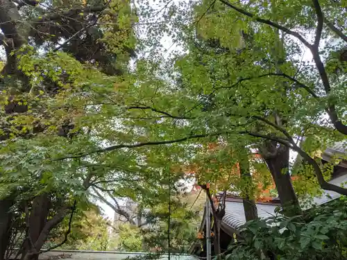 愛宕神社の自然