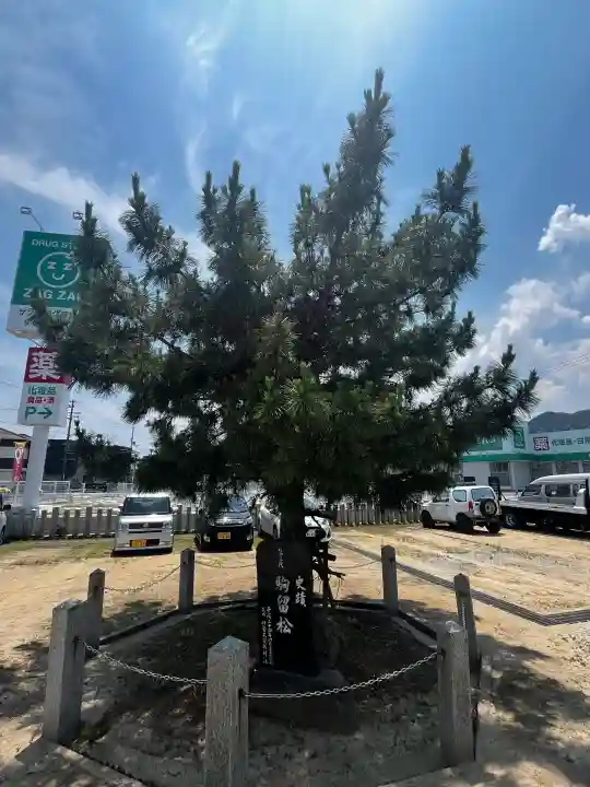 伊勢久留麻神社(兵庫県)
