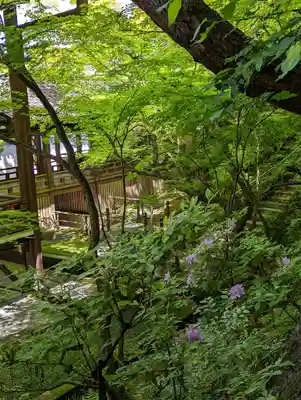 禅林寺(永観堂)(京都府)