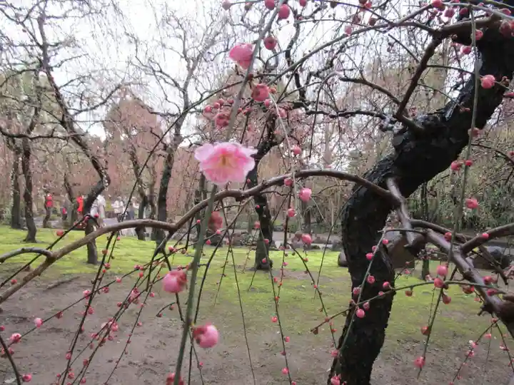 城南宮(京都府)