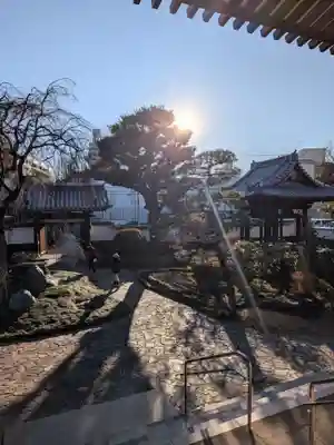 圓照寺(東京都)
