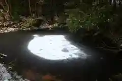 市森神社の自然