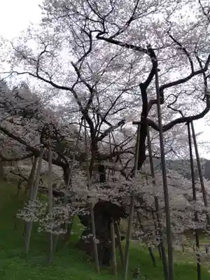 大幢寺(岐阜県)