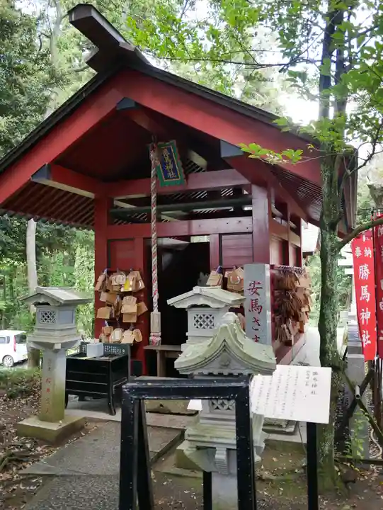 大杉神社(茨城県)