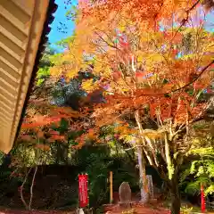 目の霊山　油山寺の自然