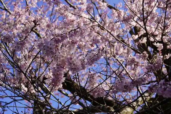 春谷寺(三重県)