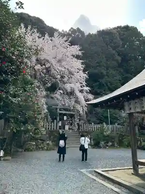 大豊神社(京都府)