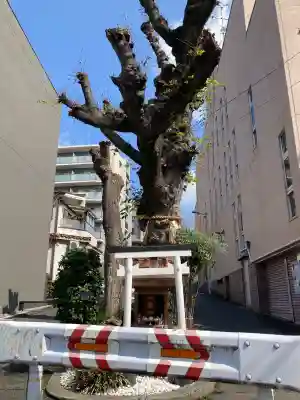 白光大神 (大阪府)
