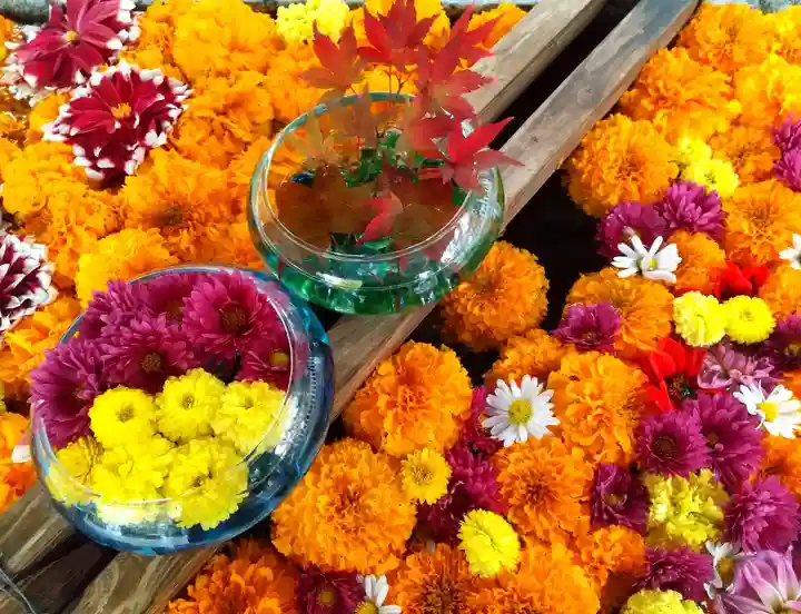 網走神社の手水舎
