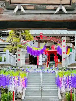 寺岡山元三大師の{uncategorized: "未分類", other: "その他", undefined: "問題あり", building: "その他建物", grave: "お墓", sacred_gate: "鳥居", guardian: "狛犬", statue: "像", buddha: "仏像", history: "歴史", nature: "自然", garden: "庭園", animal: "動物", pagoda: "塔", temizu: "手水舎", mountain_gate: "山門・神門", sanctuary: "本殿・本堂", subordinate: "末社・摂社", art: "芸術", scenery: "景色", jizo: "地蔵", ema: "絵馬", goshuin: "御朱印", omikuji: "おみくじ", items: "授与品その他", amulet: "お守り", goshuincho: "御朱印帳", eats: "食事", festival: "お祭り", votive_dance: "神楽", shichigosan: "七五三参", wedding: "結婚式", experience: "体験その他", initially: "初詣", around: "周辺", anti_infection: "感染症対策"}