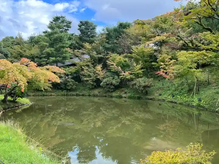 高台寺(高台寿聖禅寺・高臺寺)(京都府)