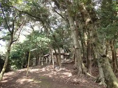濱殿神社の周辺
