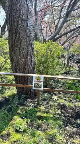 石崎地主海神社(北海道)