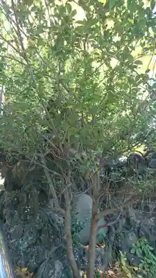 葛飾神社のその他建物