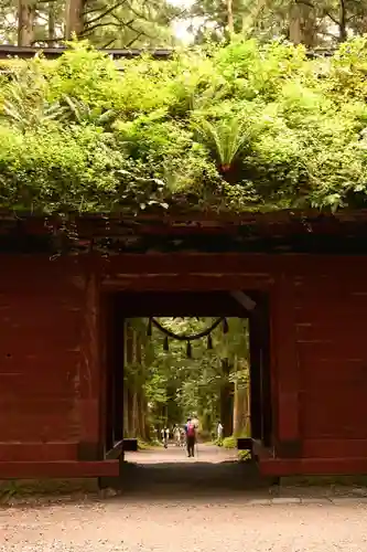 戸隠神社九頭龍社(長野県)