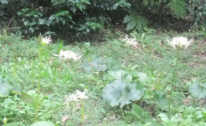 宝戒寺(神奈川県)