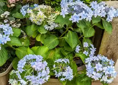 花園稲荷神社(東京都)