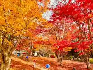 土津神社|こどもと出世の神さま(福島県)