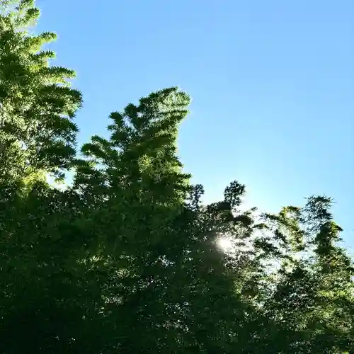 大正寺(東京都)