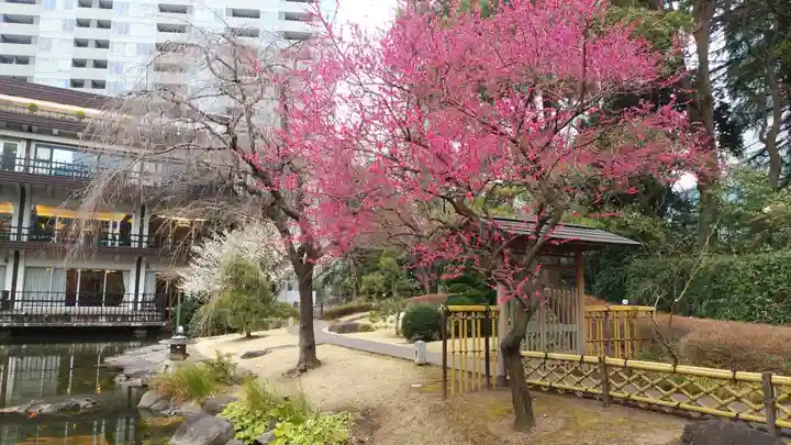 東郷神社の庭園