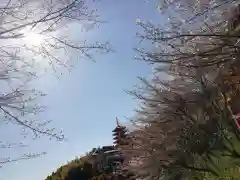 総本山　本福寺の景色