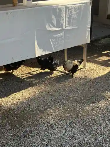 大崎八幡宮(宮城県)