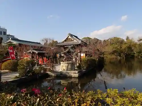 神泉苑の庭園