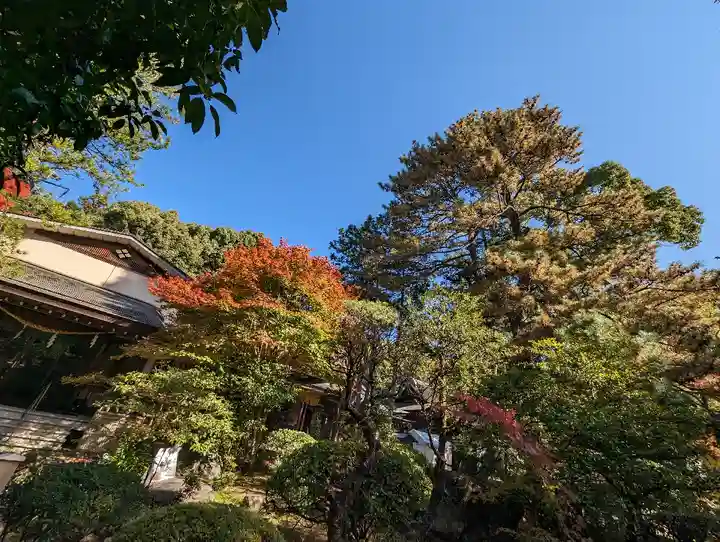 武田神社の自然
