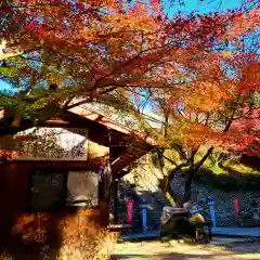 目の霊山　油山寺(静岡県)