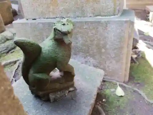 渋谷氷川神社の狛犬