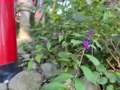 斗瑩稲荷神社(宮城県)