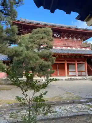 大徳寺の{uncategorized: "未分類", other: "その他", undefined: "問題あり", building: "その他建物", grave: "お墓", sacred_gate: "鳥居", guardian: "狛犬", statue: "像", buddha: "仏像", history: "歴史", nature: "自然", garden: "庭園", animal: "動物", pagoda: "塔", temizu: "手水舎", mountain_gate: "山門・神門", sanctuary: "本殿・本堂", subordinate: "末社・摂社", art: "芸術", scenery: "景色", jizo: "地蔵", ema: "絵馬", goshuin: "御朱印", omikuji: "おみくじ", items: "授与品その他", amulet: "お守り", goshuincho: "御朱印帳", eats: "食事", festival: "お祭り", votive_dance: "神楽", shichigosan: "七五三参", wedding: "結婚式", experience: "体験その他", initially: "初詣", around: "周辺", anti_infection: "感染症対策"}