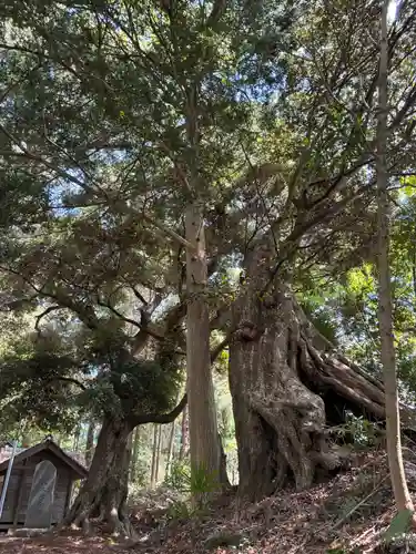稲荷神社(茨城県)