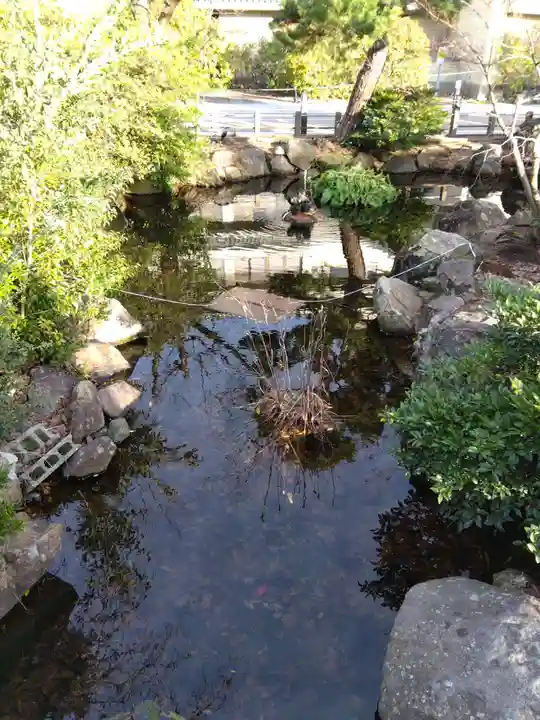 舟津温泉薬師堂(福井県)