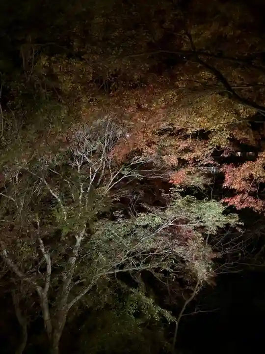 高山寺(京都府)