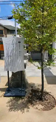 出雲大社埼玉分院の{uncategorized: "未分類", other: "その他", undefined: "問題あり", building: "その他建物", grave: "お墓", sacred_gate: "鳥居", guardian: "狛犬", statue: "像", buddha: "仏像", history: "歴史", nature: "自然", garden: "庭園", animal: "動物", pagoda: "塔", temizu: "手水舎", mountain_gate: "山門・神門", sanctuary: "本殿・本堂", subordinate: "末社・摂社", art: "芸術", scenery: "景色", jizo: "地蔵", ema: "絵馬", goshuin: "御朱印", omikuji: "おみくじ", items: "授与品その他", amulet: "お守り", goshuincho: "御朱印帳", eats: "食事", festival: "お祭り", votive_dance: "神楽", shichigosan: "七五三参", wedding: "結婚式", experience: "体験その他", initially: "初詣", around: "周辺", anti_infection: "感染症対策"}