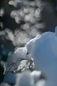 大久保山 自性院の自然(2022年01月15日(土) 20時56分55秒投稿)