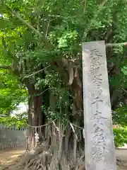 葛飾八幡宮(千葉県)