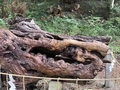泉神社(茨城県)