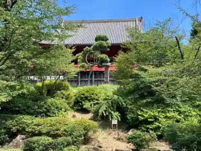 寛永寺(根本中堂)(東京都)