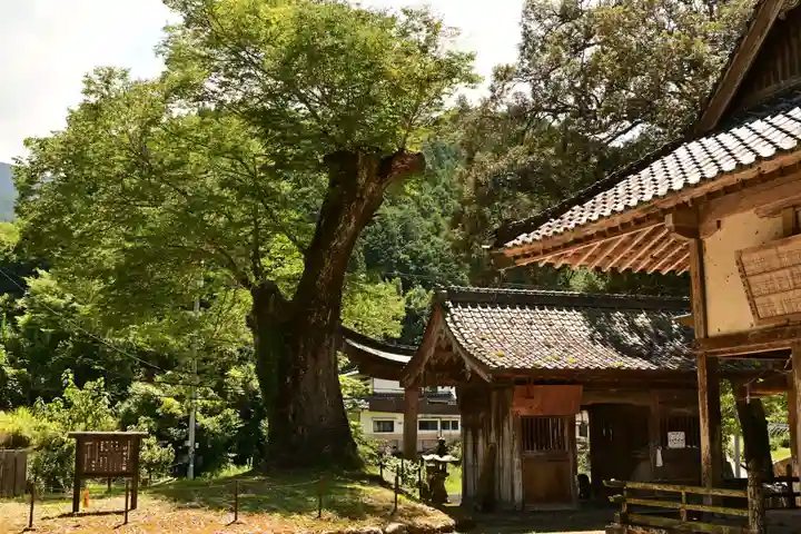 廣瀬神社(愛媛県)