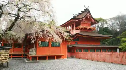 富士山本宮浅間大社の本殿