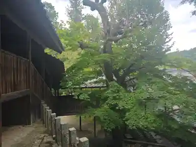 神峯山寺(大阪府)