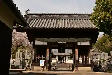 掌禅寺(愛媛県)
